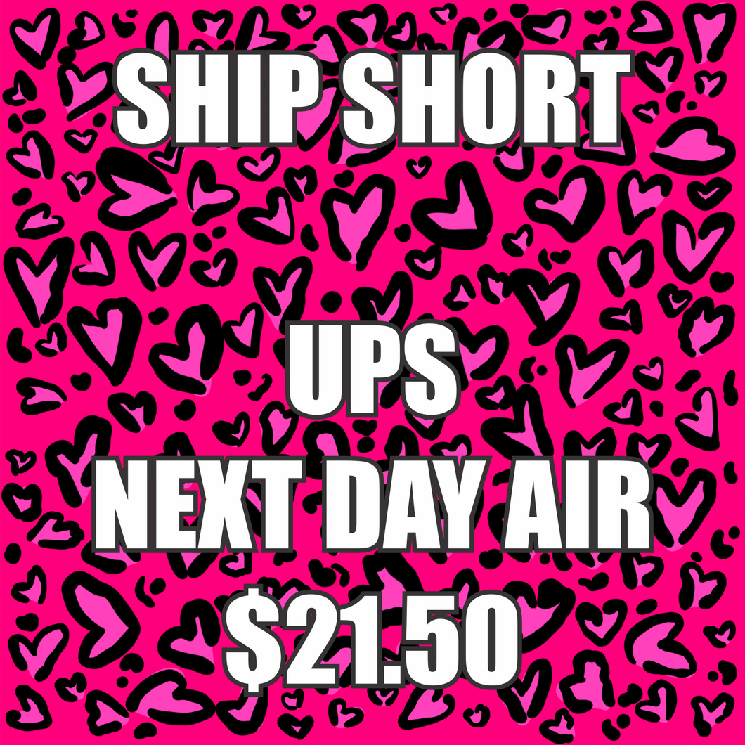 Ship Short UPS Next Day Air Postage