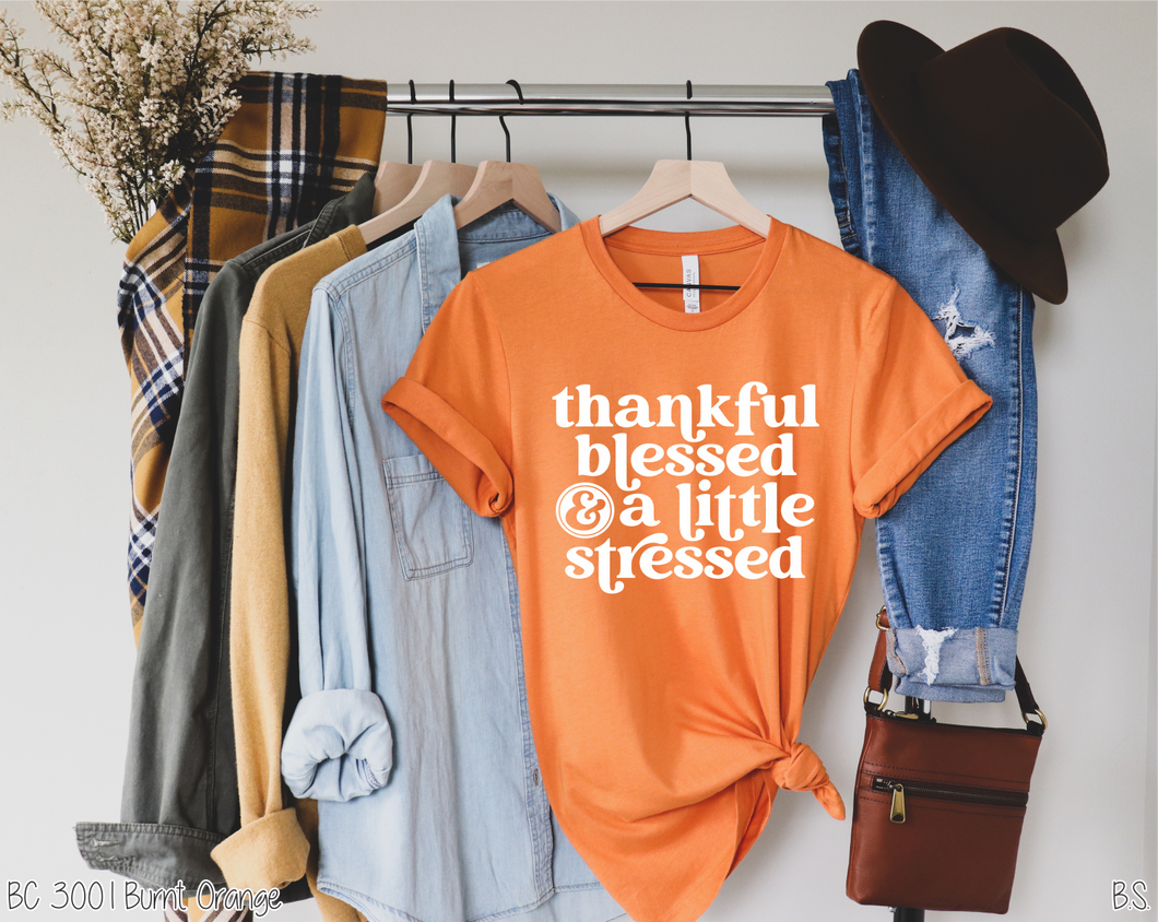 Thankful Blessed And A Little Stressed #BS2348