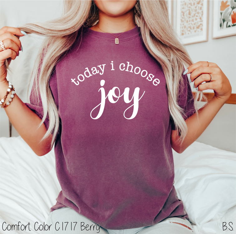 Today I Choose Joy #BS5211