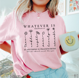 Whatever Is True #BS5284