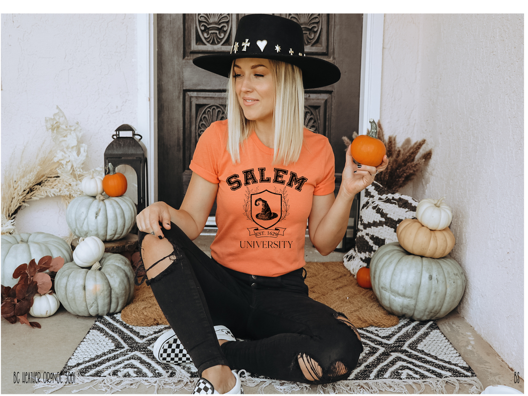 Salem University #BS3499